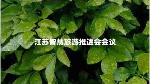 江蘇智慧旅游推進(jìn)會(huì)會(huì)議