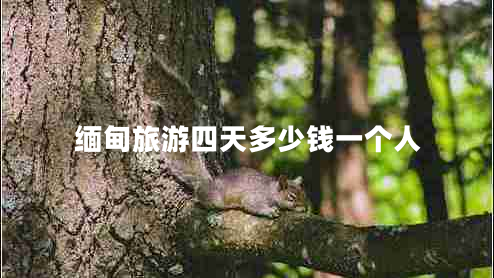 緬甸旅游四天多少錢一個(gè)人