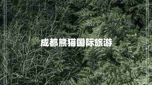 成都熊貓國(guó)際旅游