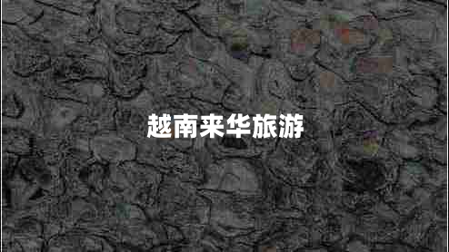 越南來華旅游