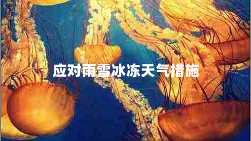 應(yīng)對(duì)雨雪冰凍天氣措施