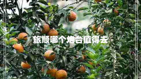 旅順哪個(gè)炮臺(tái)值得去