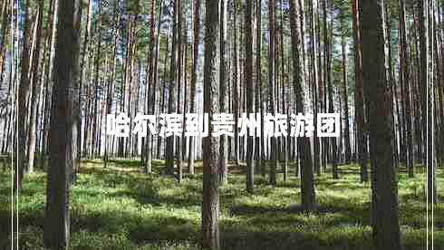 哈爾濱到貴州旅游團(tuán)