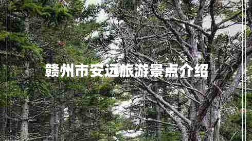 贛州市安遠旅游景點介紹
