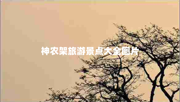 神農(nóng)架旅游景點(diǎn)大全圖片