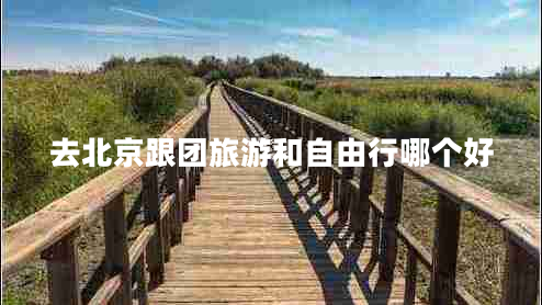 去北京跟團旅游和自由行哪個好
