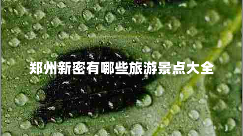 鄭州新密有哪些旅游景點大全
