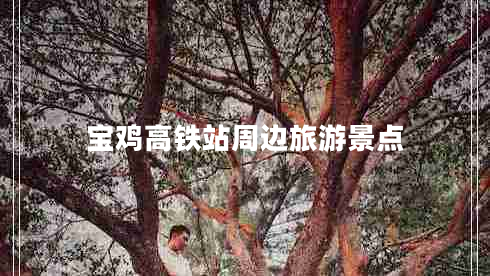 寶雞高鐵站周邊旅游景點
