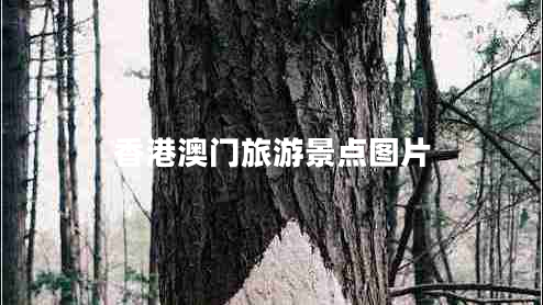 香港澳門旅游景點(diǎn)圖片
