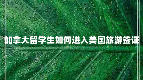 加拿大留學(xué)生如何進(jìn)入美國(guó)旅游簽證
