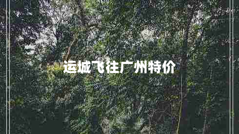 運(yùn)城飛往廣州特價(jià)