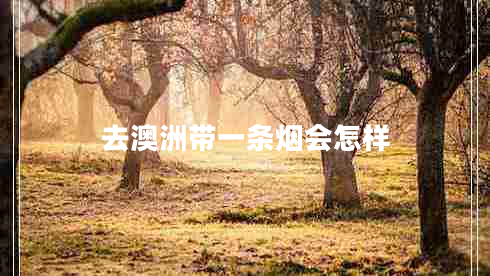 去澳洲帶一條煙會怎樣