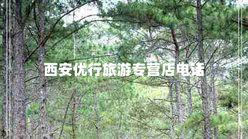 西安優(yōu)行旅游專營(yíng)店電話