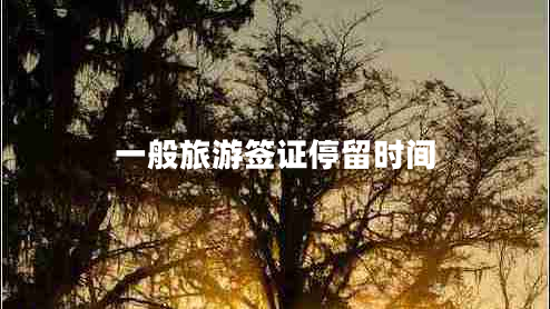 一般旅游簽證停留時間