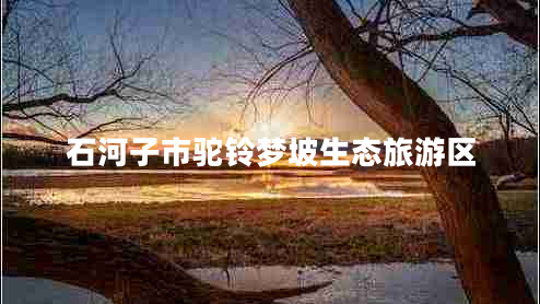石河子市駝鈴夢(mèng)坡生態(tài)旅游區(qū)