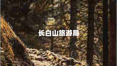 長白山旅游局
