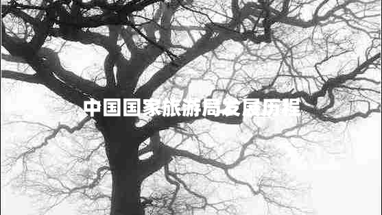 中國(guó)國(guó)家旅游局發(fā)展歷程