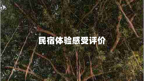 民宿體驗(yàn)感受評(píng)價(jià)
