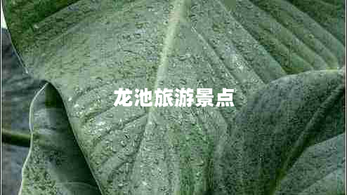 龍池旅游景點