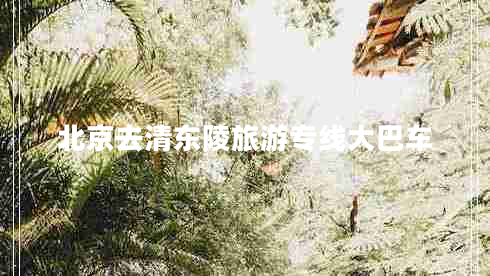 北京去清東陵旅游專線大巴車