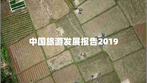 中國(guó)旅游發(fā)展報(bào)告2019