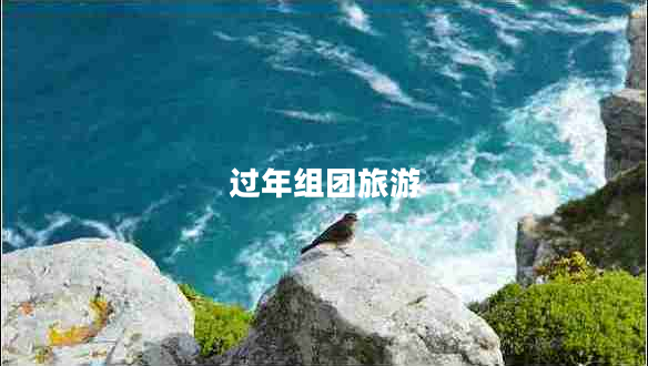 過(guò)年組團(tuán)旅游