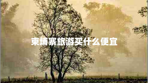 柬埔寨旅游買什么便宜