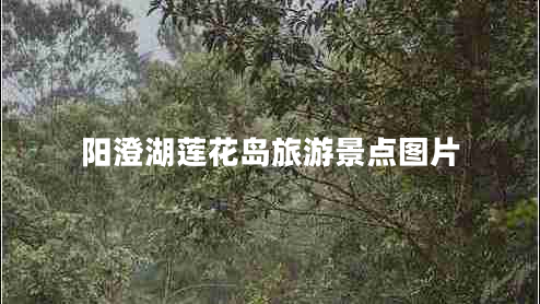 陽澄湖蓮花島旅游景點(diǎn)圖片