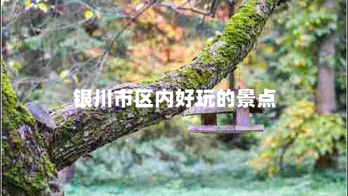 銀川市區(qū)內(nèi)好玩的景點