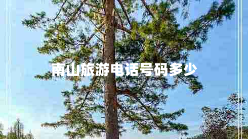 南山旅游電話號碼多少