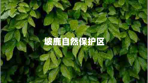 坡鹿自然保護區(qū)