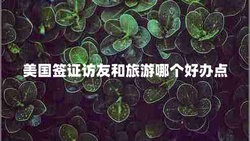 美國簽證訪友和旅游哪個(gè)好辦點(diǎn)