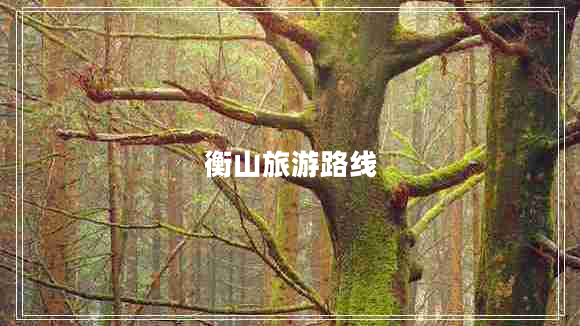 衡山旅游路線
