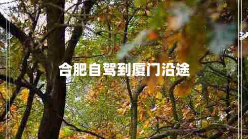合肥自駕到廈門沿途