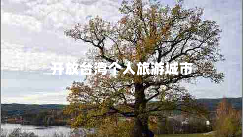 開放臺灣個(gè)人旅游城市