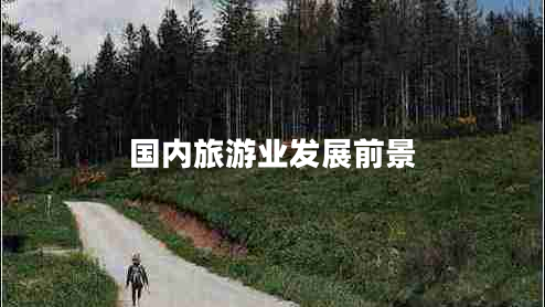 國(guó)內(nèi)旅游業(yè)發(fā)展前景