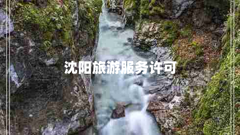 沈陽旅游服務許可