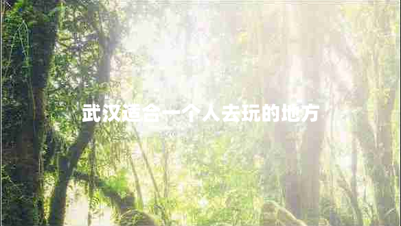 武漢適合一個人去玩的地方