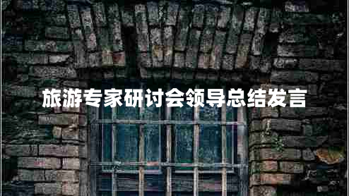 旅游專家研討會(huì)領(lǐng)導(dǎo)總結(jié)發(fā)言
