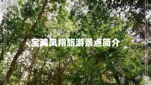 寶雞鳳翔旅游景點簡介
