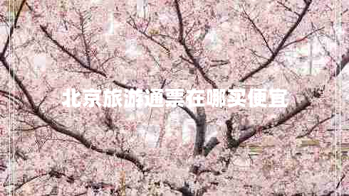 北京旅游通票在哪買便宜