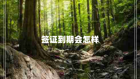 簽證到期會怎樣