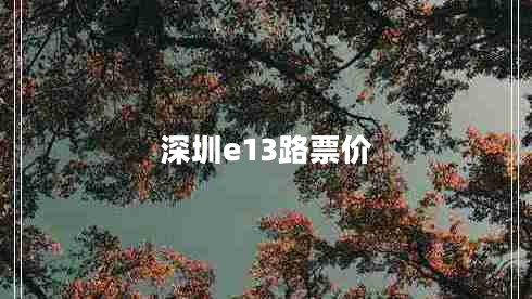 深圳e13路票價
