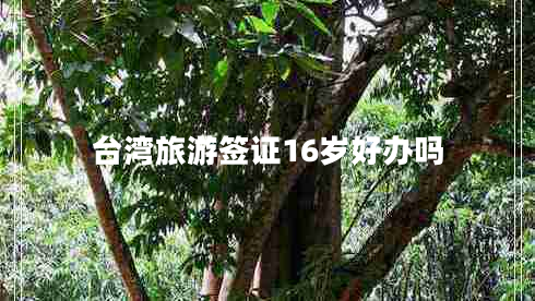 臺(tái)灣旅游簽證16歲好辦嗎