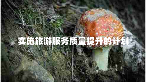 實(shí)施旅游服務(wù)質(zhì)量提升的計(jì)劃