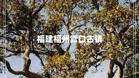 福建福州嵩口古鎮(zhèn)