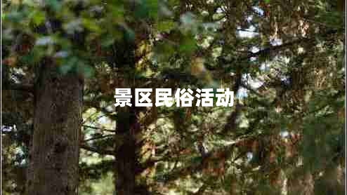 景區(qū)民俗活動(dòng)