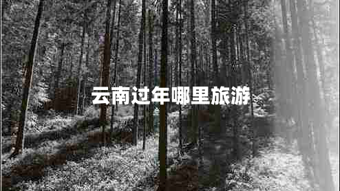 云南過年哪里旅游