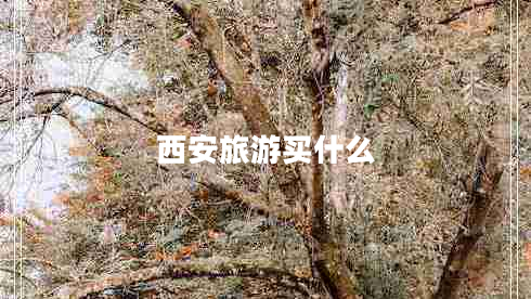 西安旅游買什么