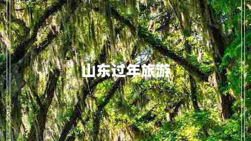 山東過年旅游